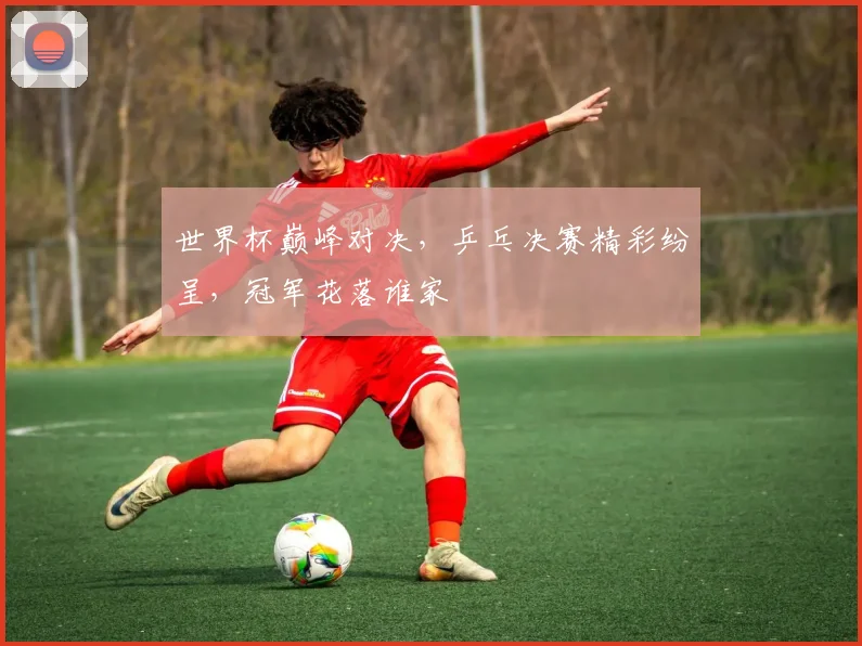 世界杯巅峰对决，乒乓决赛精彩纷呈，冠军花落谁家