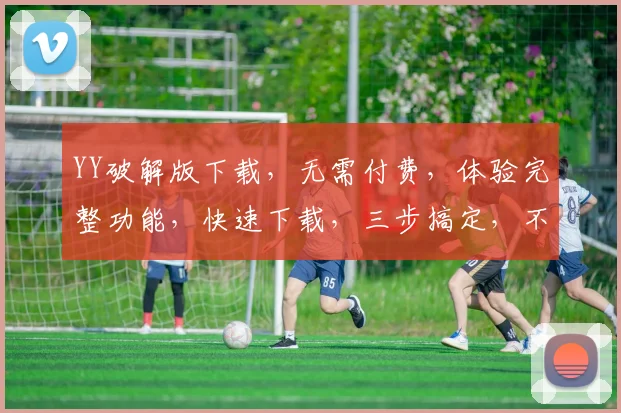 YY破解版下载，无需付费，体验完整功能，快速下载，三步搞定，不容错过，快来体验