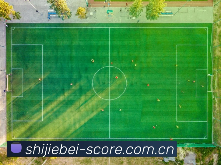 奖项证书